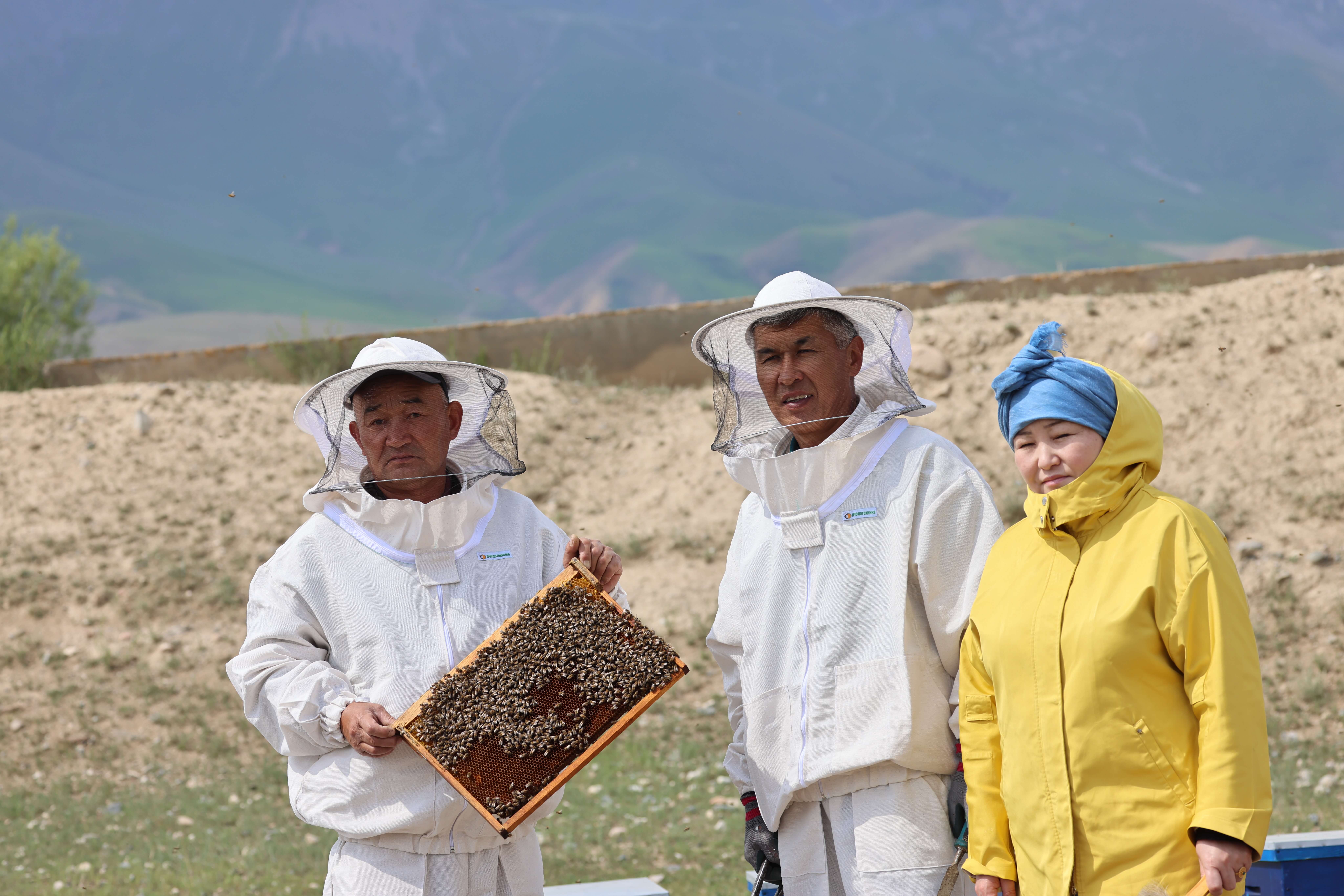 Sweet Solutions: How Honeybees Are Helping Snow Leopards
