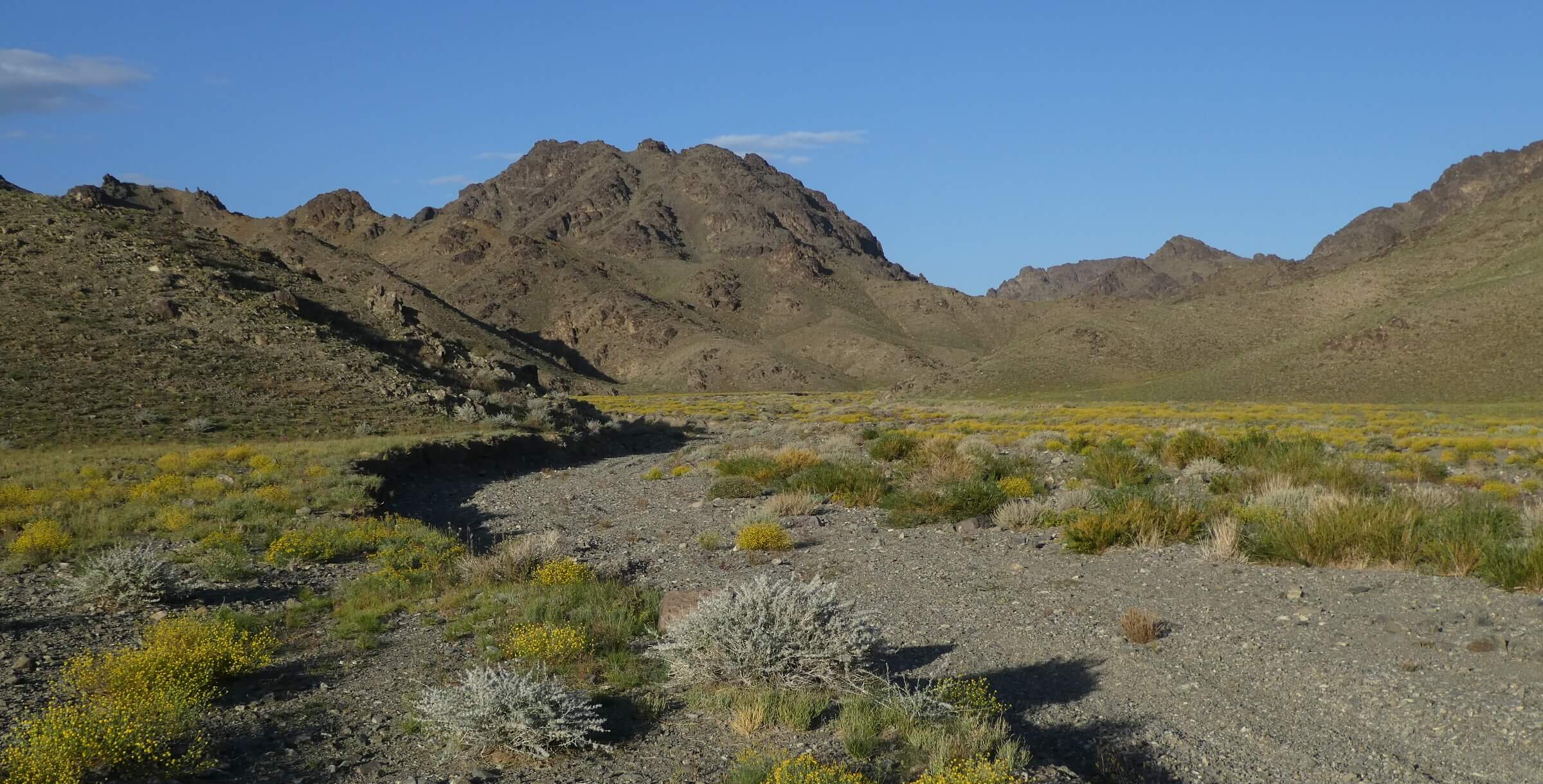 Views from the Gobi: Local Perceptions of Environmental Risk