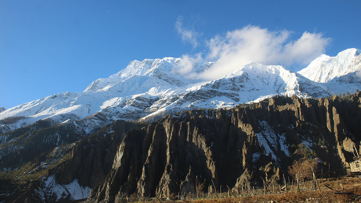 Scaling New Peaks: Snow Leopard Trust Expands to Nepal!